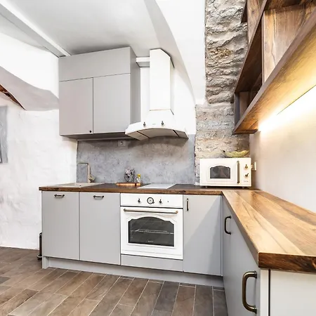 アパート Historical & Modern Business With Sauna @kadriorg *