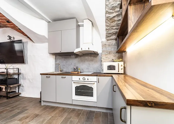 アパート Historical & Modern Business With Sauna @kadriorg *