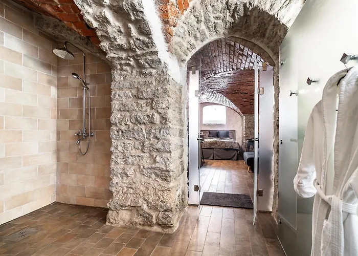 アパート Historical & Modern Business With Sauna @kadriorg